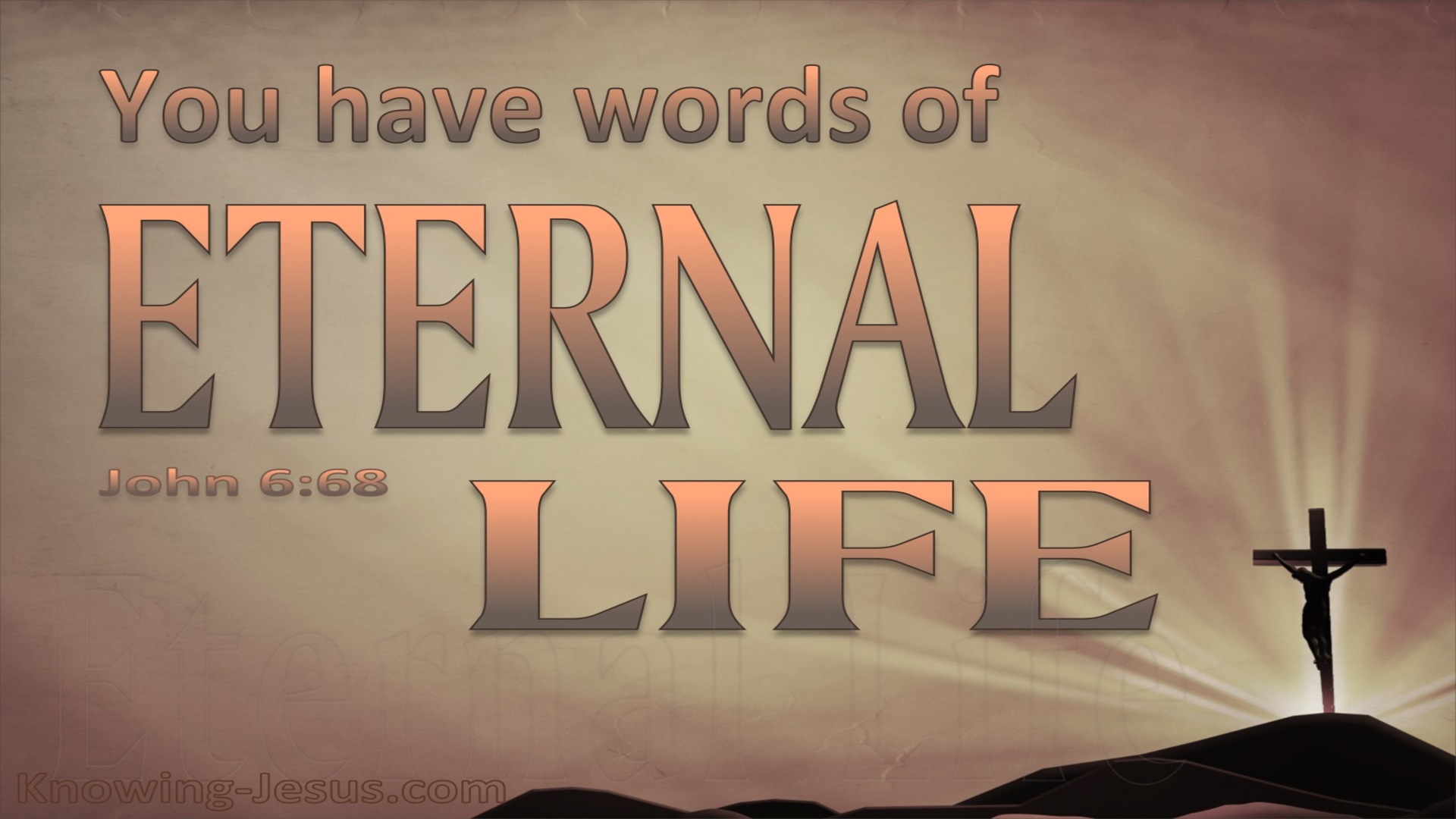John 6:68 You Have The Words Of Eternal Life (pink)